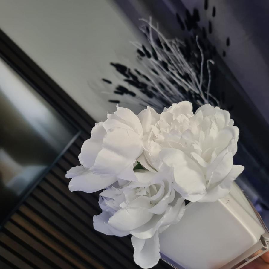 버밍엄 Luxury 9Ine Penthouse With Garden & Jacuzzi 아파트 외부 사진